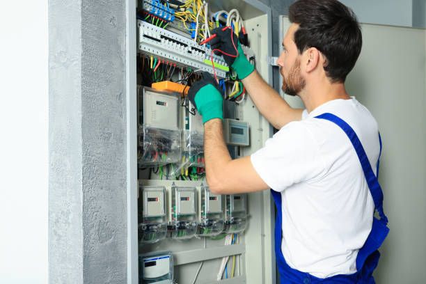 Best Electric Panel Repair  in Arcola, TX